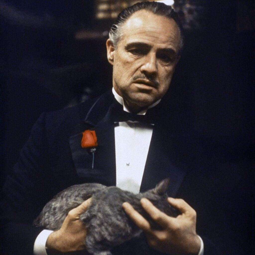 Godfather, Marlon Brando, Movie