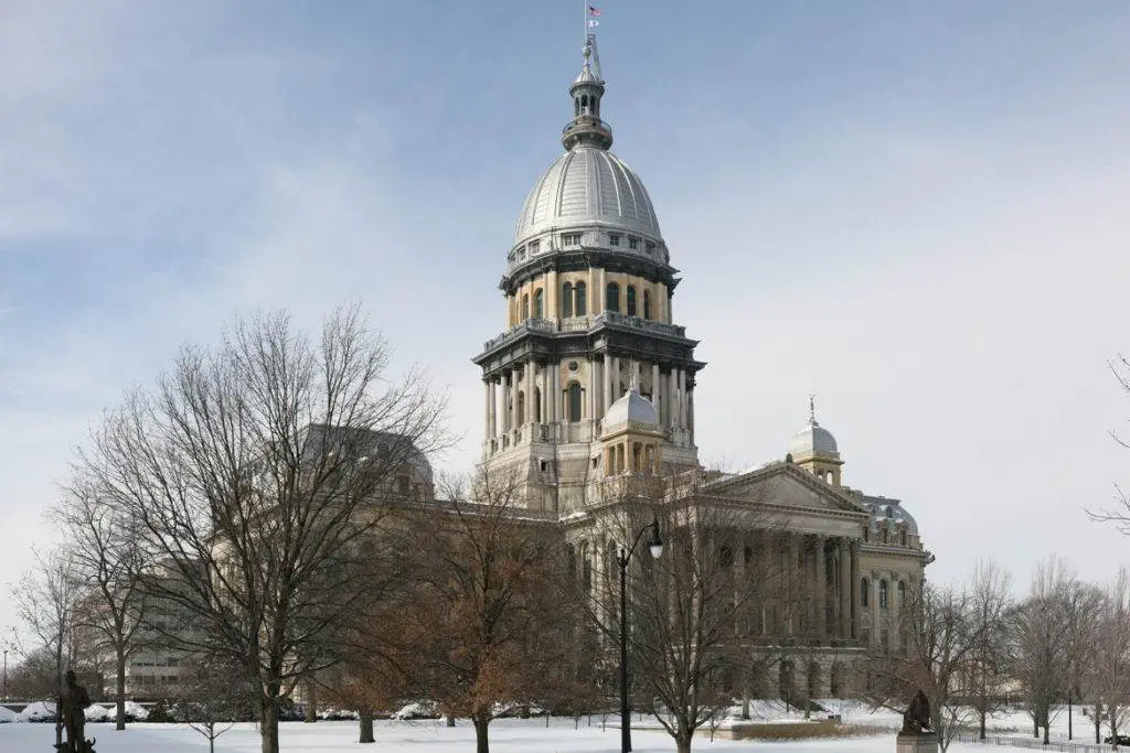 Illinois, Politics, Public Aid, Grant, Cursive, Debt Transparency Act, Mason Vera Paine, Millennial
