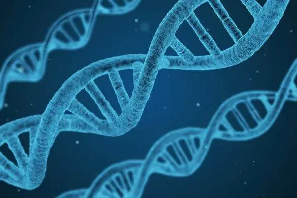 DNA, Romance, Relationships, Dating, Matching Making, Dating Coaches, Love, Marriage, Privacy, Science, Technology, Timothy Sexton, Doctor, Interesting, Deoxyribonucleic Acid, Genetic Code, Human, 23 and Me, Ancestry, MasonVeraPaine, Mason Paine, MasonVeraPaine.com, Unabridged Millennial, Millennial, WGNRadio.com, MVP.Show, Chicago, Illinois, WGN Radio, Lifestyle