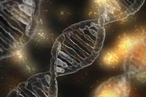 DNA, Ancestry, FamilyTreeDNA, Genealogy, Autosomal DNA, Y-DNA, 23 and Me, Health Research, Data Base, Ancestry, My Heritage, Mitochondrial DNA, ID Discovery, Indigenous, Death Certificates, Obituaries, Find A Grace, Huaniqueo, Mexico, Family Tree, DNA-Explained.com, Roberta Estes, Scientist, Genealogist, Mason Vera Paine, Millennial