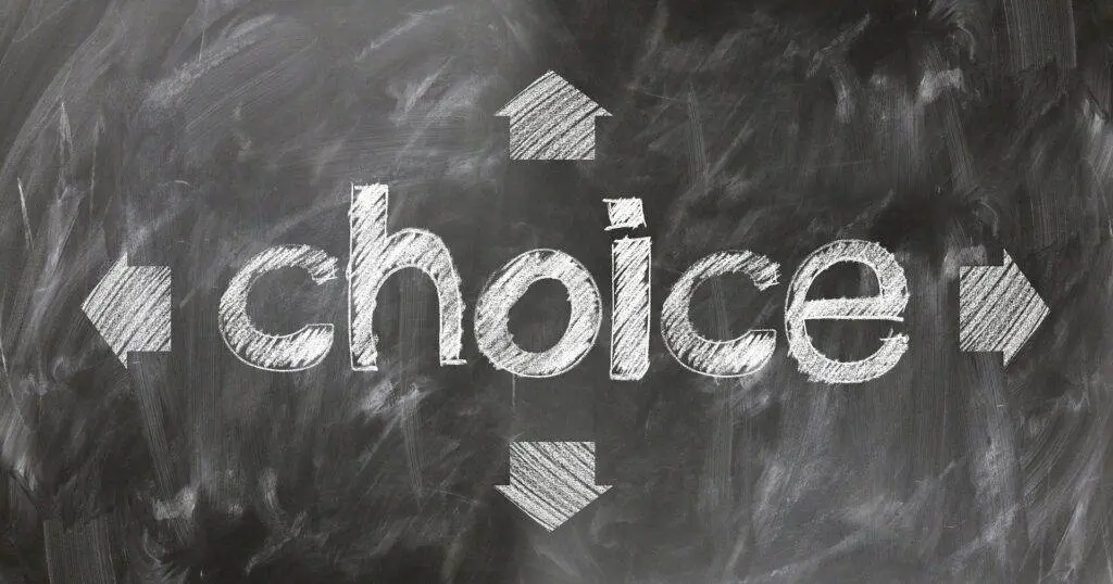 Young Voters, COVID-19, Coronavirus, Education, Economy, Immigration, Recession, Unemployment, Social Security, Jobs, Abortion, Climate Change, Mason Vera Paine, Millennial, Clayton State University, Dr. Joshua Meddaugh, 2020 election, Politics, Voters